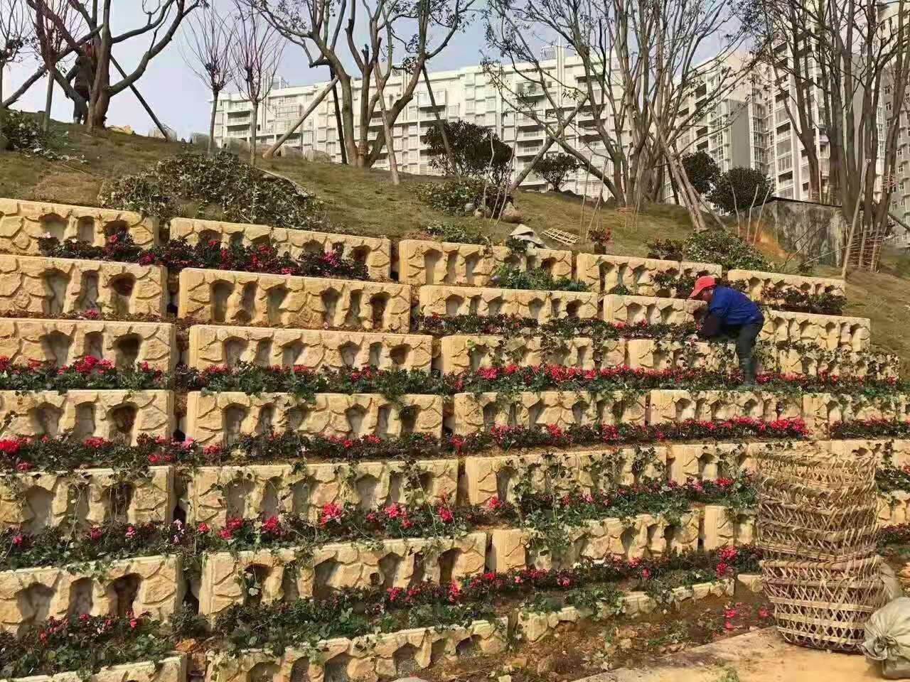 河道生态框